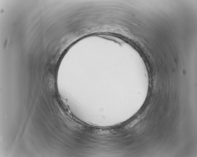 X0000058131505200510212032