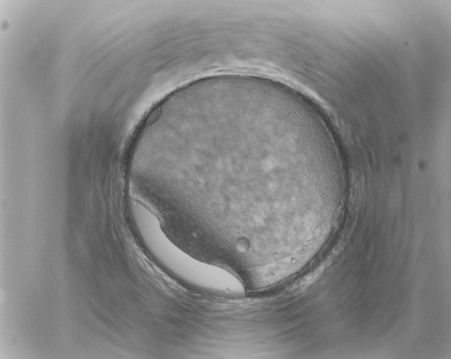 X0000058131506200510212032