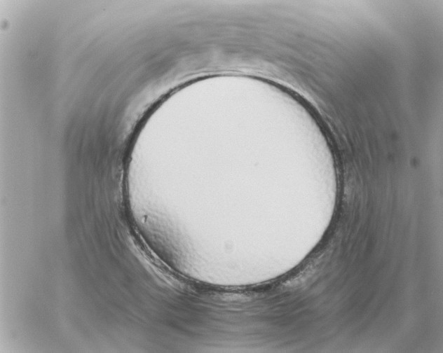 X0000058131507200510212032