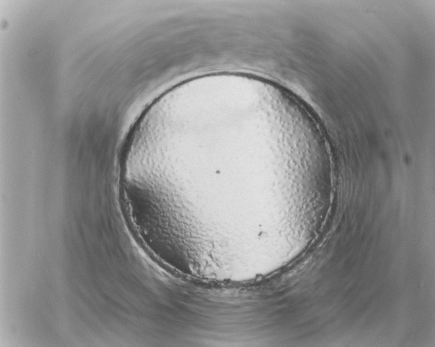 X0000058131508200510212032