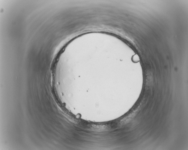 X0000058131509200510212032