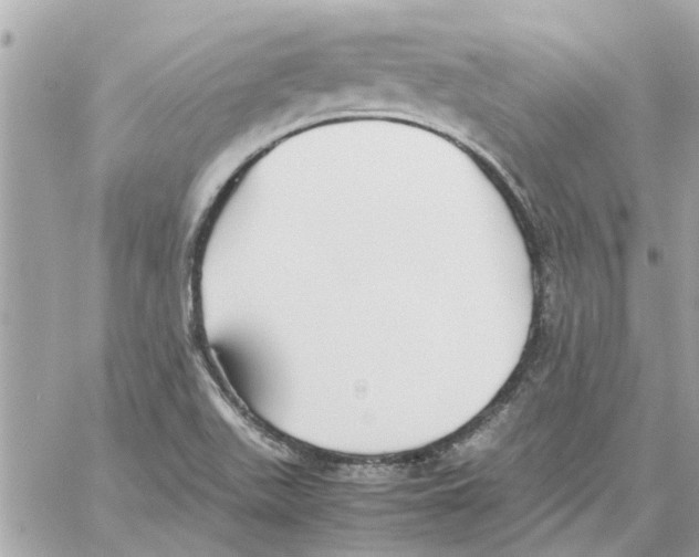 X0000058131511200510212033