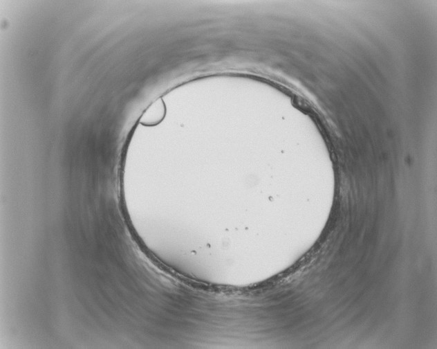 X0000058131512200510212033