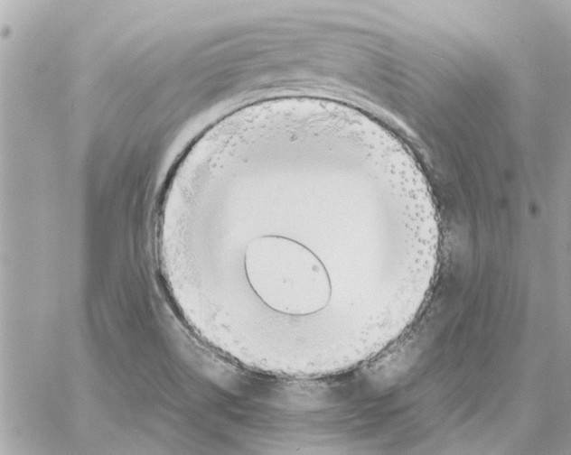 X0000058131514200510212033