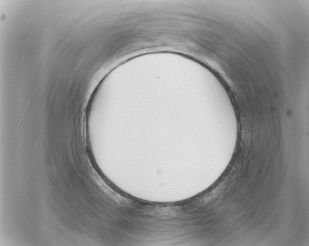 X0000058131516200510212033