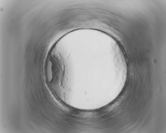 X0000058131517200510212033