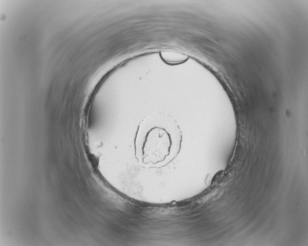 X0000058131519200510212033