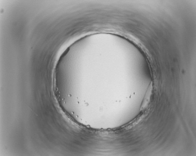 X0000058131520200510212033