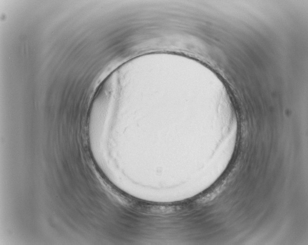 X0000058131521200510212033