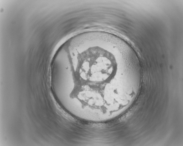 X0000058131522200510212033