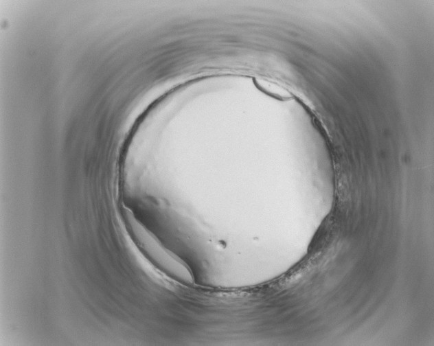 X0000058131523200510212033