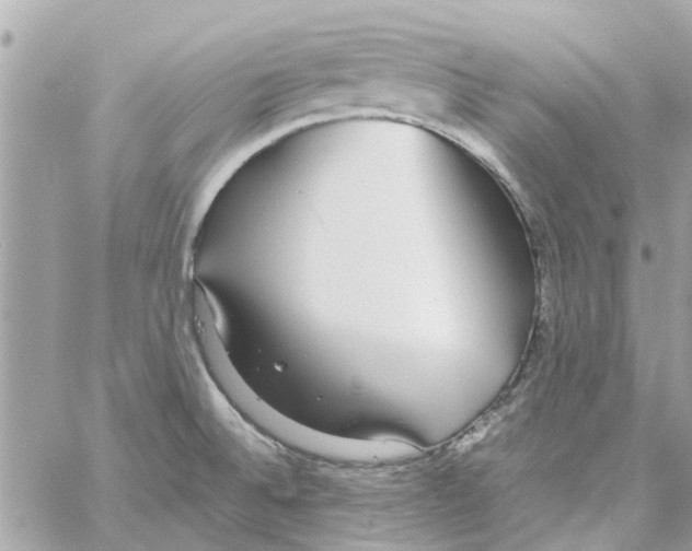 X0000058131524200510212033