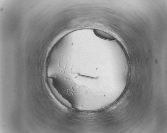 X0000058131525200510212033