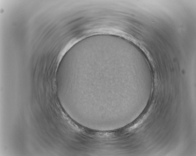 X0000058131529200510212033