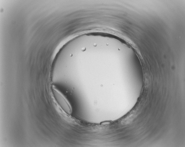 X0000058131530200510212033