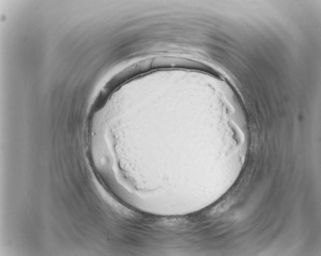 X0000058131531200510212033