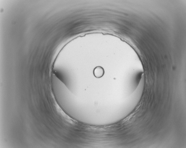 X0000058131532200510212033