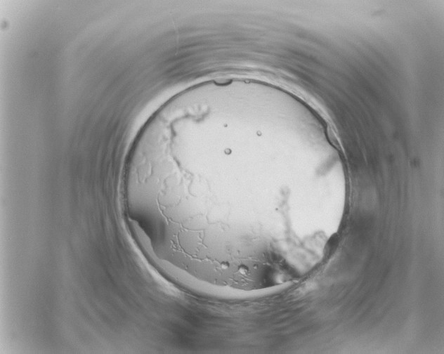 X0000058131533200510212033