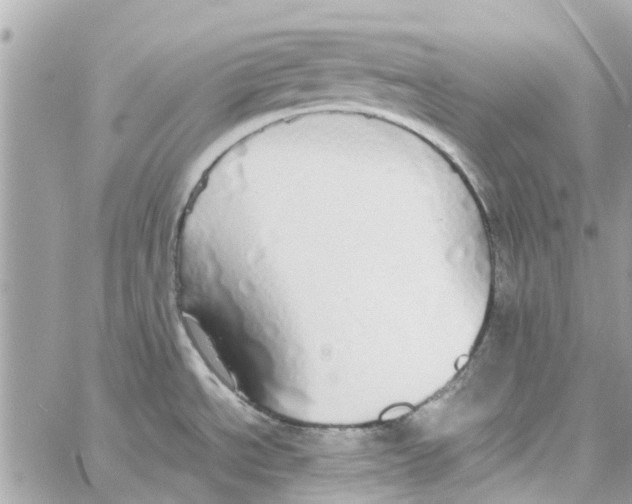 X0000058131534200510212033