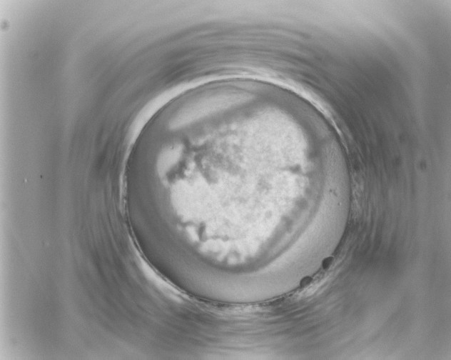 X0000058131535200510212033