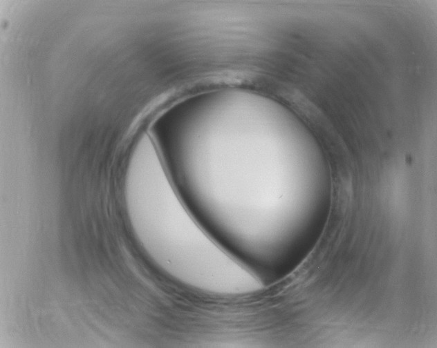 X0000058140064200509230857