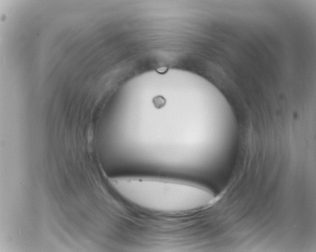 X0000058140082200509230857