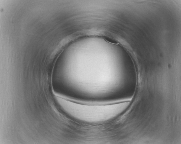 X0000058140201200509230855