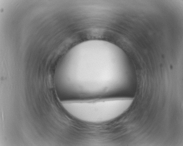 X0000058140224200509230854