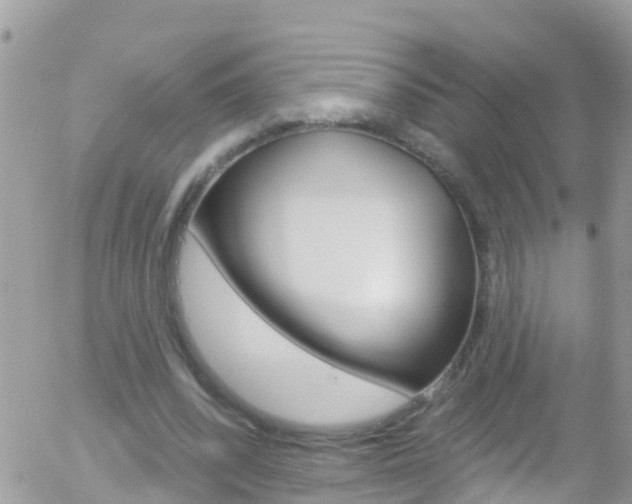 X0000058140392200509230852