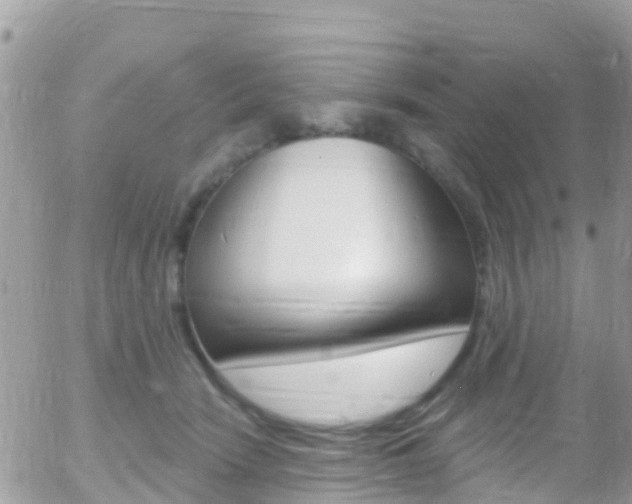 X0000058140466200509230851