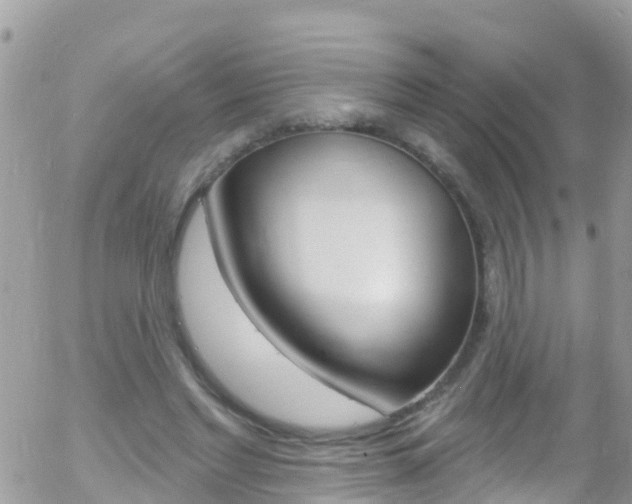 X0000058140493200509230850
