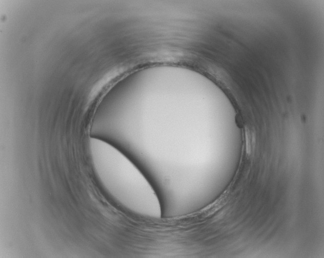 X0000058140675200509230847
