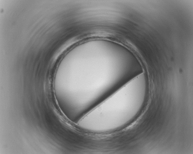 X0000058140779200509230845