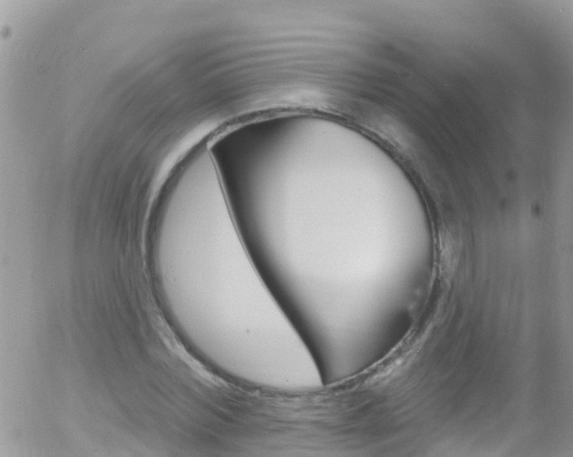 X0000058140780200509230845