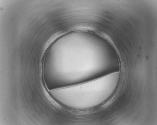 X0000058140795200509230845