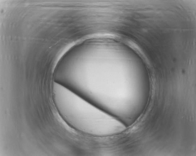 X0000058140852200509230844