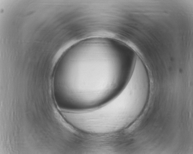 X0000058140854200509230844