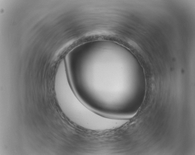 X0000058140872200509230843