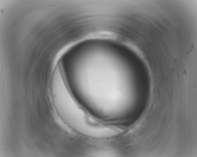 X0000058140960200509230843
