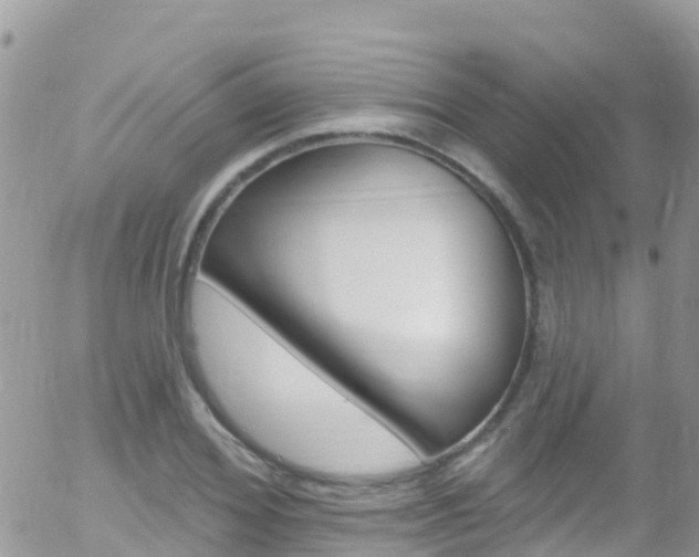 X0000058140980200509230842