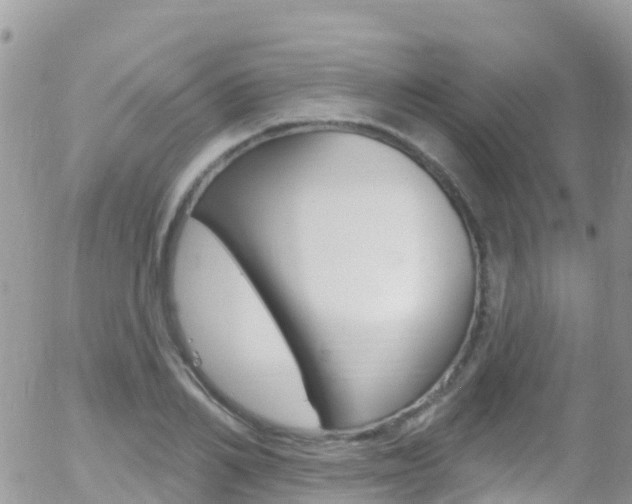 X0000058140982200509230842