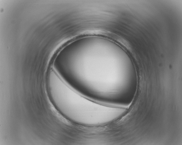 X0000058140984200509230842