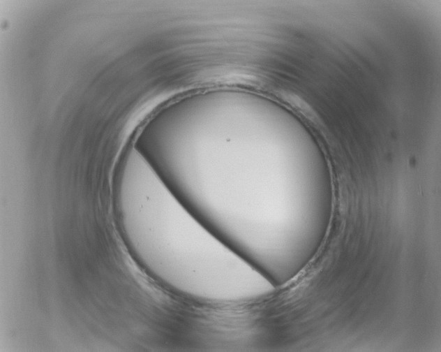 X0000058141031200509230841