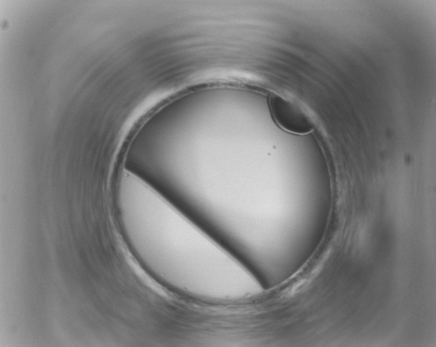 X0000058141037200509230841
