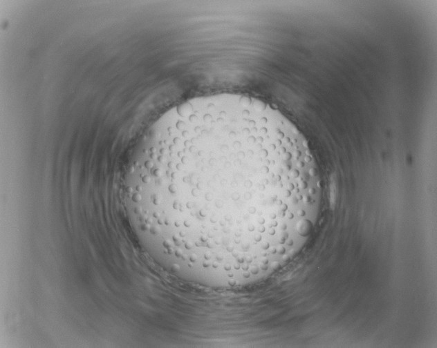 X0000058141059200509230840