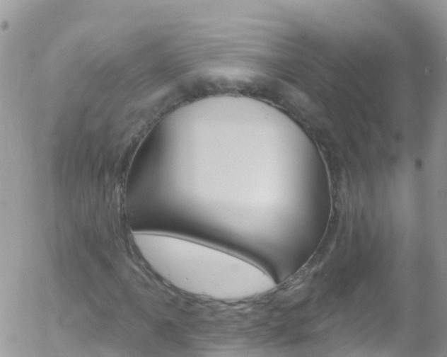 X0000058141061200509230840