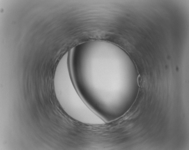 X0000058141202200509230837