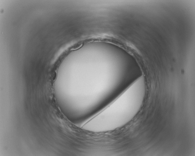 X0000058141256200509230837