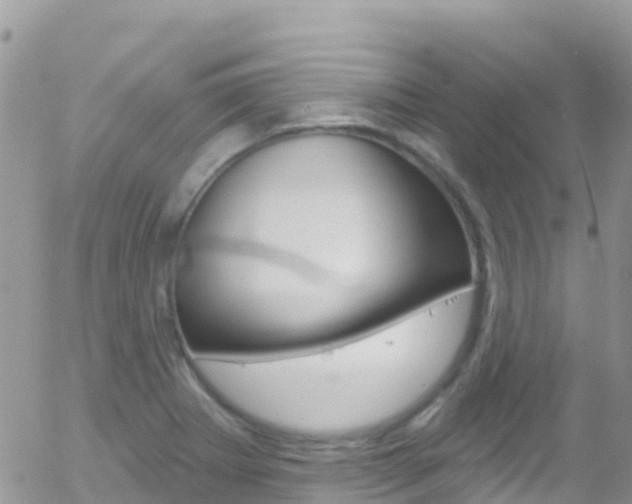X0000058141273200509230837