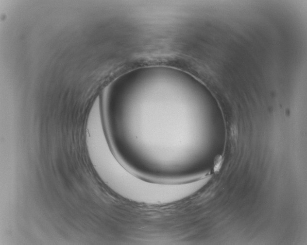 X0000058141300200509230836